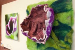 Expositie van Kentalis ‘De Kunst van Zien’ bij Cunera | De Bongerd