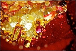 Expositie fotoclub ’t Spectrum uit Rosmalen in Het Retraitehuis