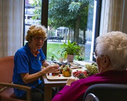 Gespecialiseerde zorg bij dagbesteding Laverhof